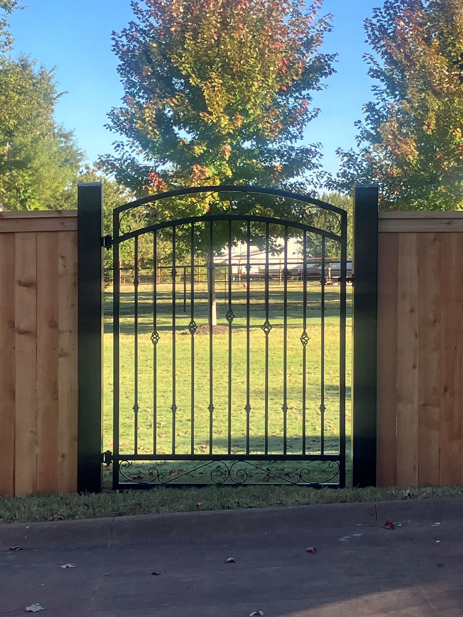 Ornamental Iron gate