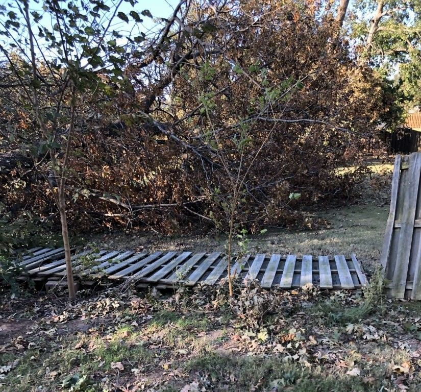 A wooden fence laid over dirt in a yard, with a large, fallen, dead tree in the background.