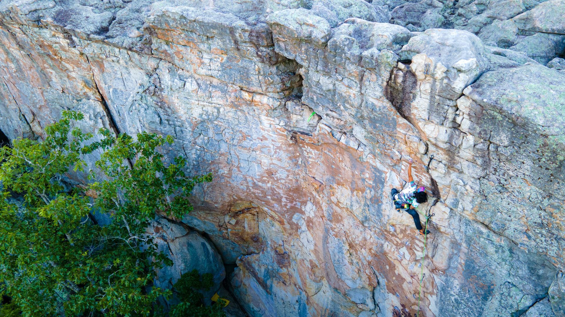 Rock climber on a granite cliff face, wearing harness. Green tree in the lower left corner.