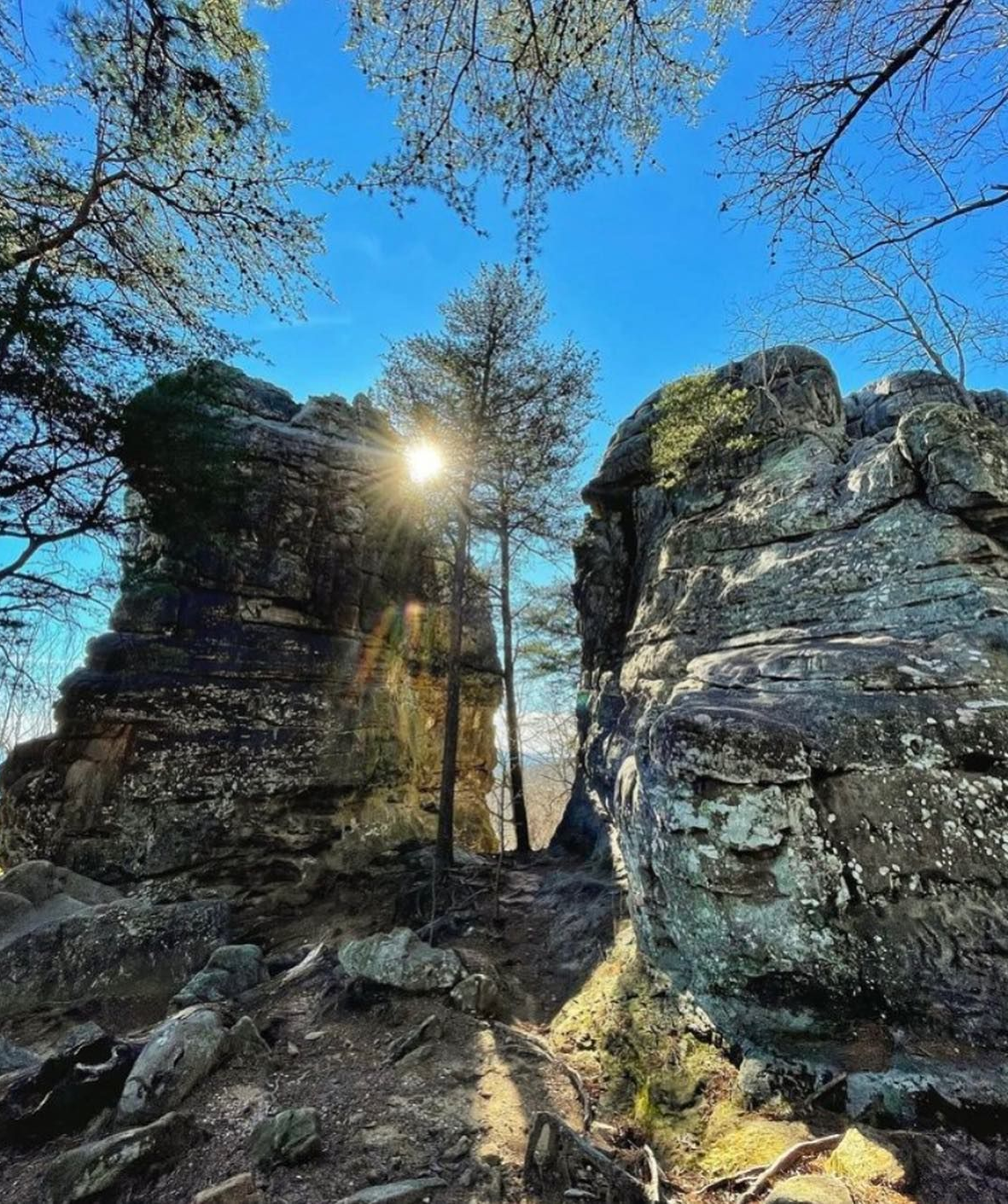 Sunlight streams through a narrow rock formation, illuminating a forest trail on a sunny day.