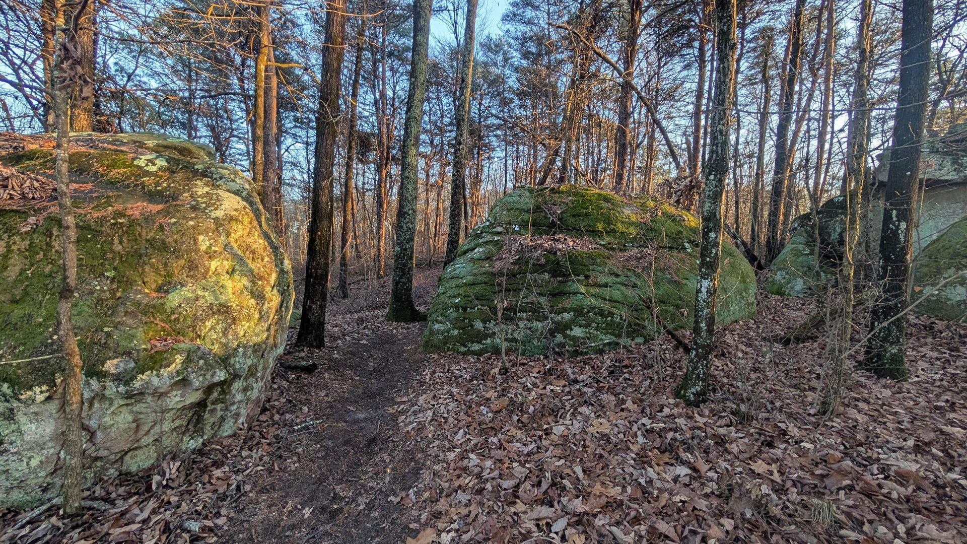 Trail through a forest with large, moss-covered boulders and trees. Autumn leaves cover the ground.