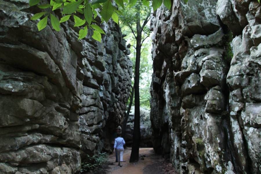 Narrow path between tall, rocky cliffs. Person walks towards center, where a tree stands.