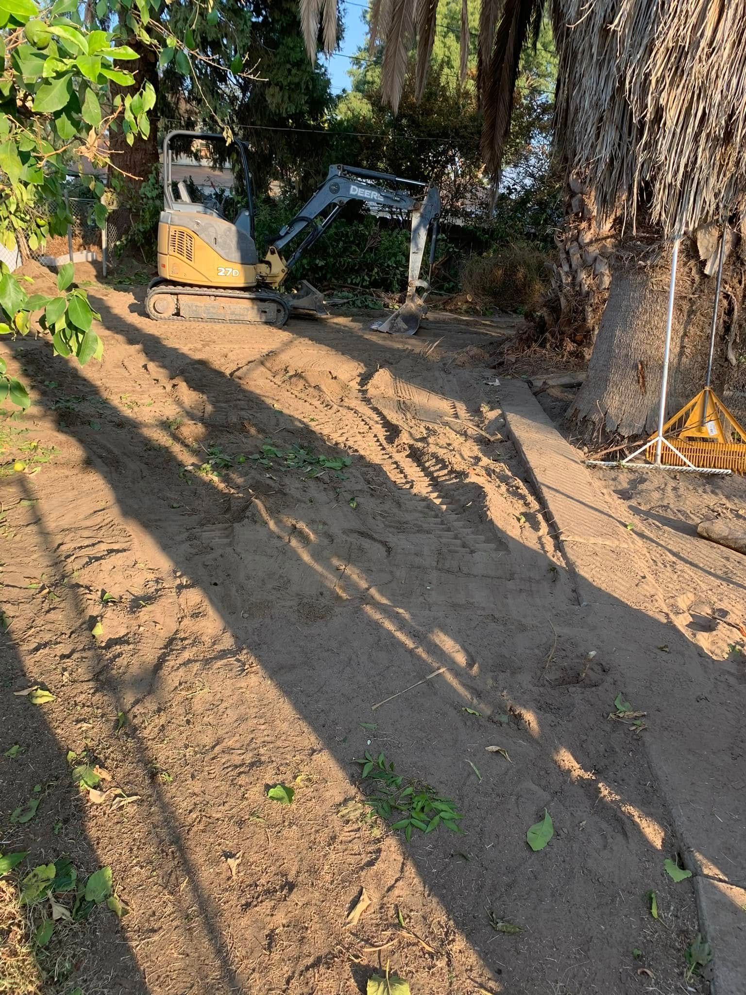 Small excavator on a dirt slope beside trees, with long shadows in late-day light.