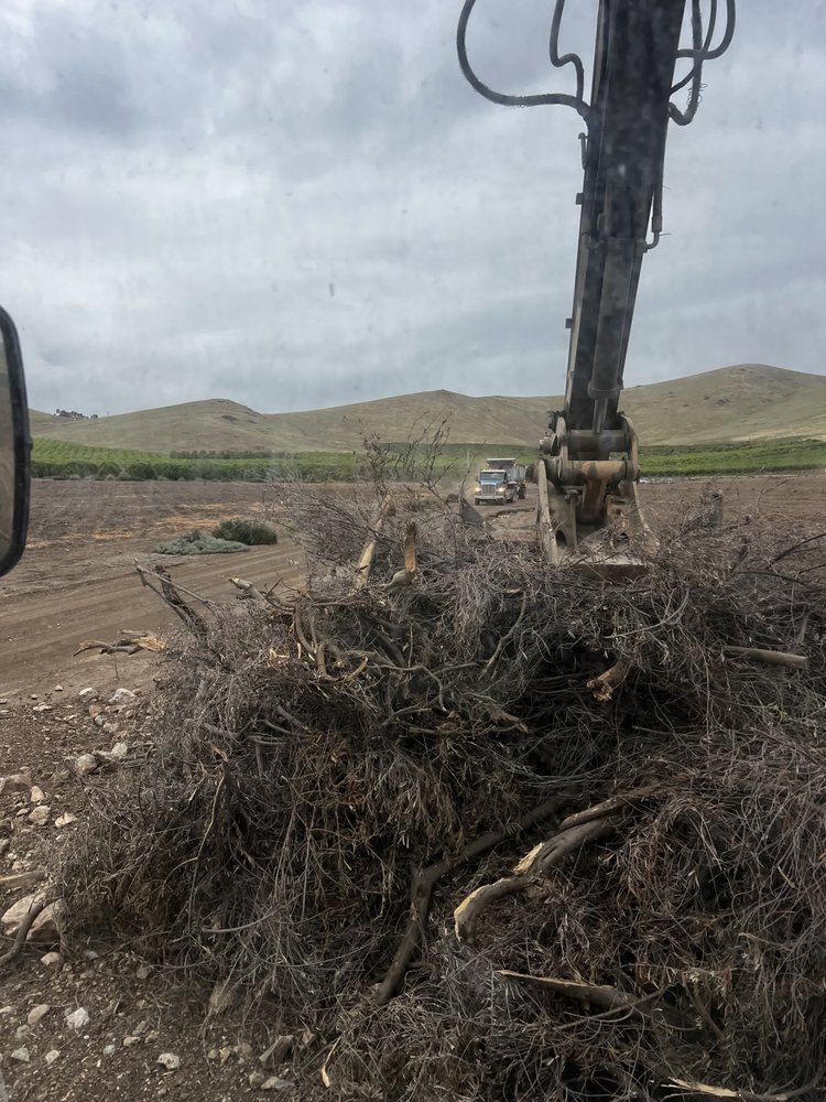 Excavator lifting a large tangle of brush and roots in a rural field under a cloudy sky