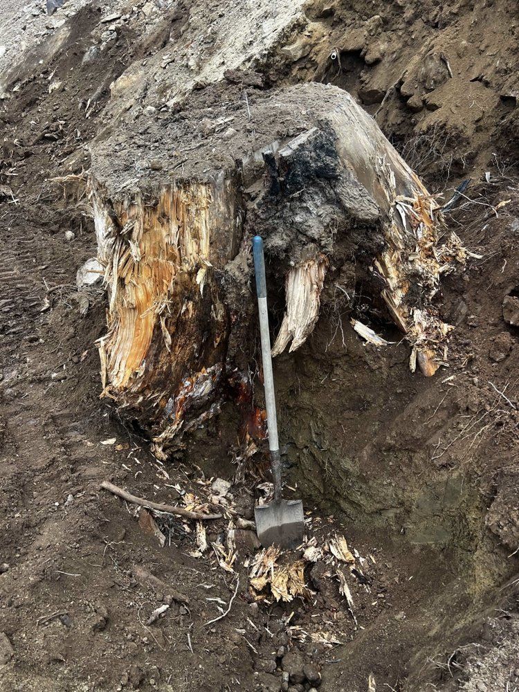 A decayed tree stump with an axe embedded in it, surrounded by muddy ground.