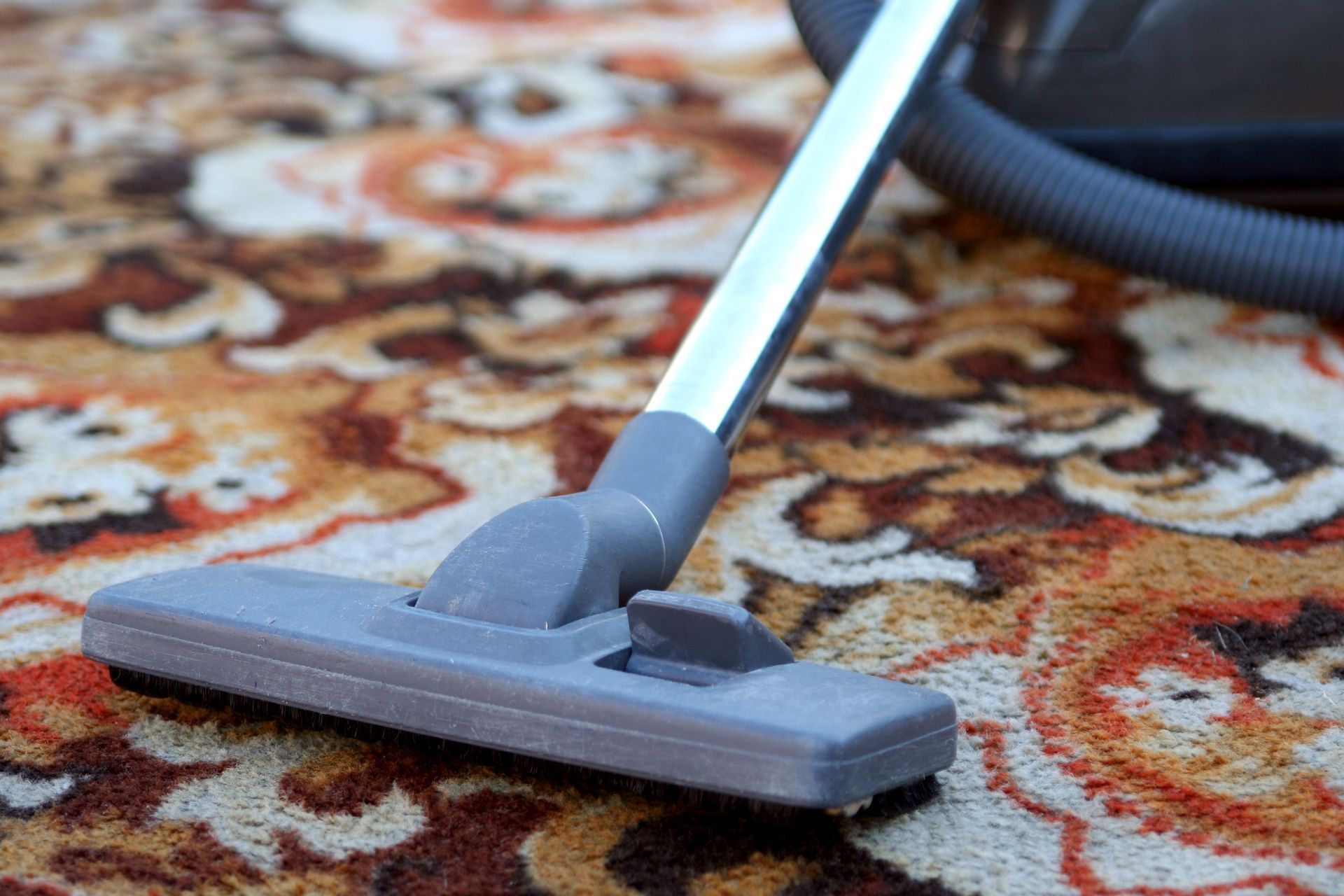 A vacuum cleaning patterned rug, showcasing efficient rug cleaning techniques.