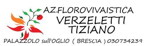 AZIENDA FLOROVIVAISTICA VERZELETTI TIZIANO Logo