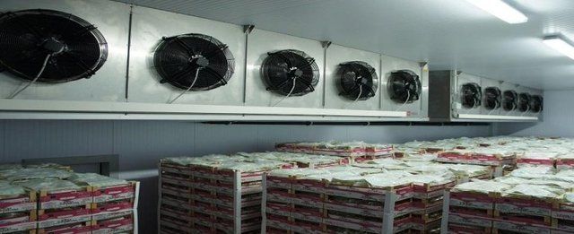 Riparazione macchine per refrigerazione ed essicamento