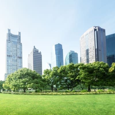 A park with tall buildings in the background and trees in the foreground
