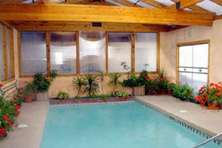 A large indoor swimming pool surrounded by plants and flowers.