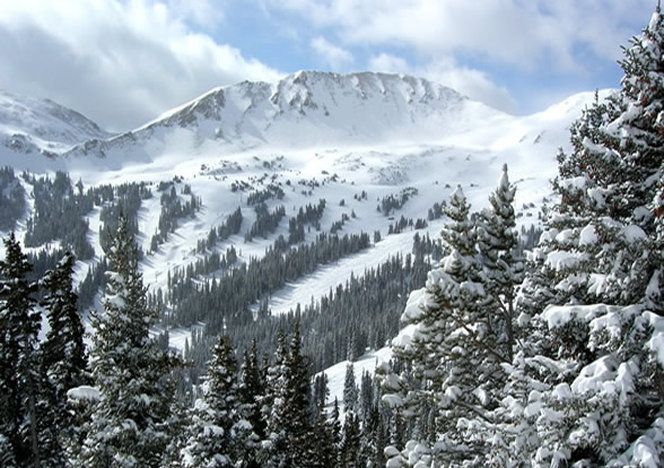 A snowy mountain with trees in the foreground