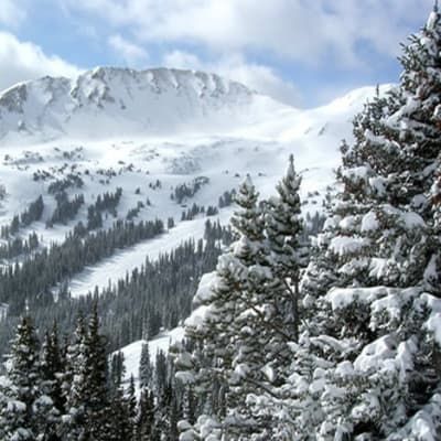 A snowy landscape with trees and mountains in the background