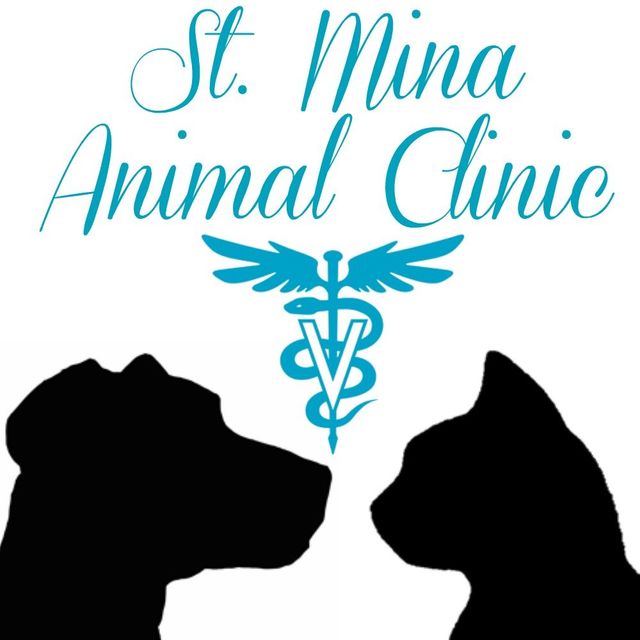 Animal Clinic In Queens- Call (718)296-0500