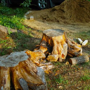 A pile of logs laying on the ground with a car parked in the background