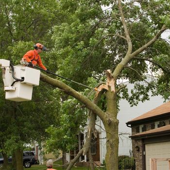 A man in a bucket is cutting a tree in front of a house.