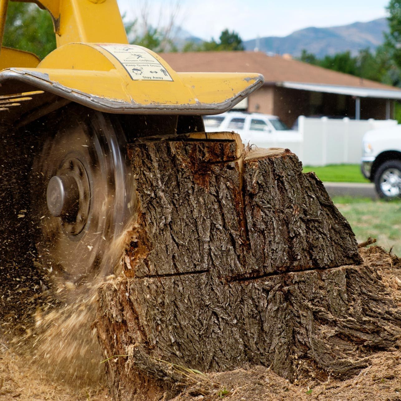 A stump grinder is cutting a tree stump in half A stump grinder is cutting a tree stump in half