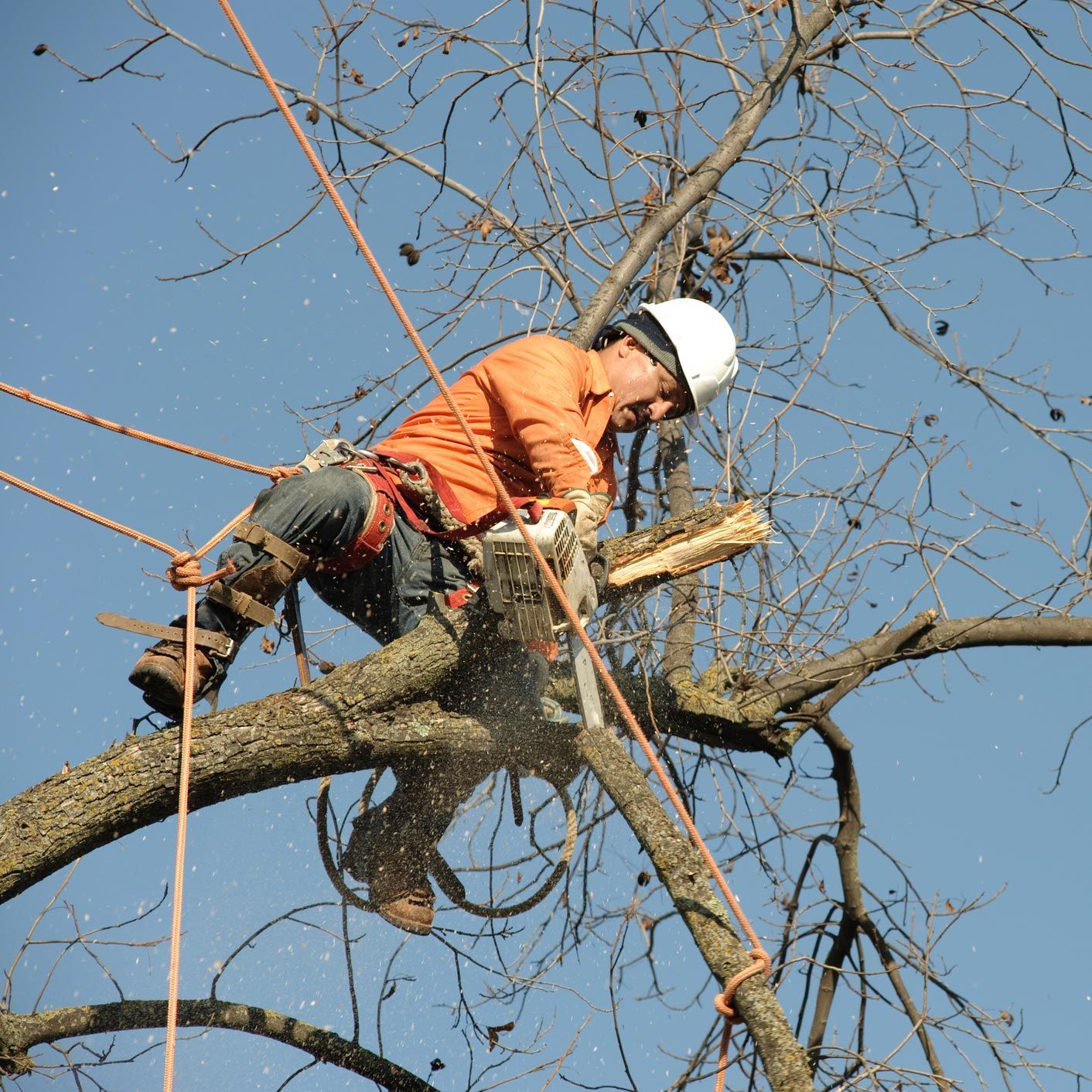A man is cutting a tree branch with a chainsaw A man is cutting a tree branch with a chainsaw