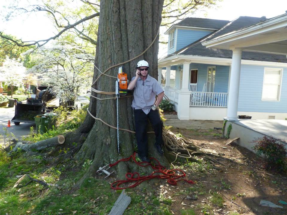 tree removal company Johns Creek GA