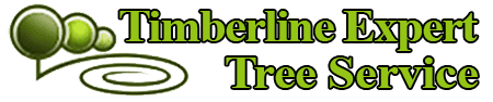 Timberline Expert Tree Service logo
