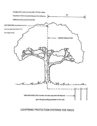 Lightning Rod system for trees