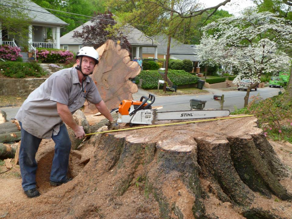Large Stump Removal