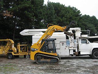 Timberline Expert Tree Service 92