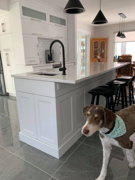 Un chien marron et blanc portant un bandana se tient dans une cuisine.
