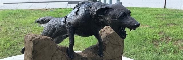 Black dog statue on a rock base in a grassy outdoor setting