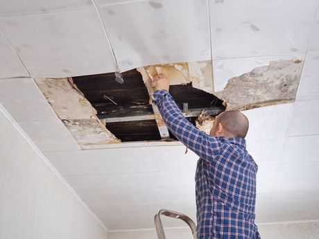 Fixing Ceiling with Molds — Insulation Services in Northbrook, IL