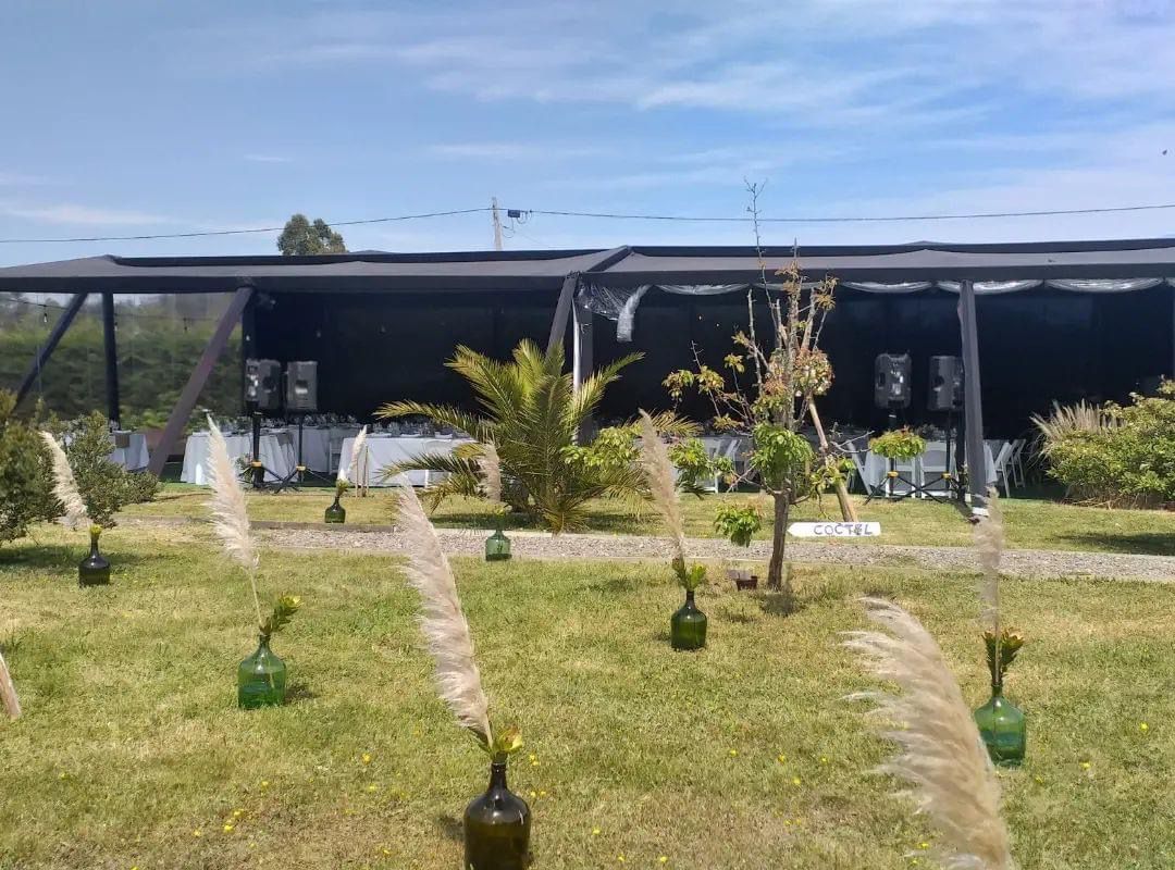 Césped con botellas verdes que contienen plantas altas y plumosas. Estructura de paredes negras al fondo con mesas.