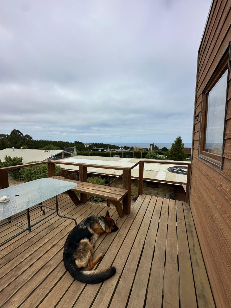 Pastor alemán descansando en una terraza de madera con vistas a la costa en un día nublado.