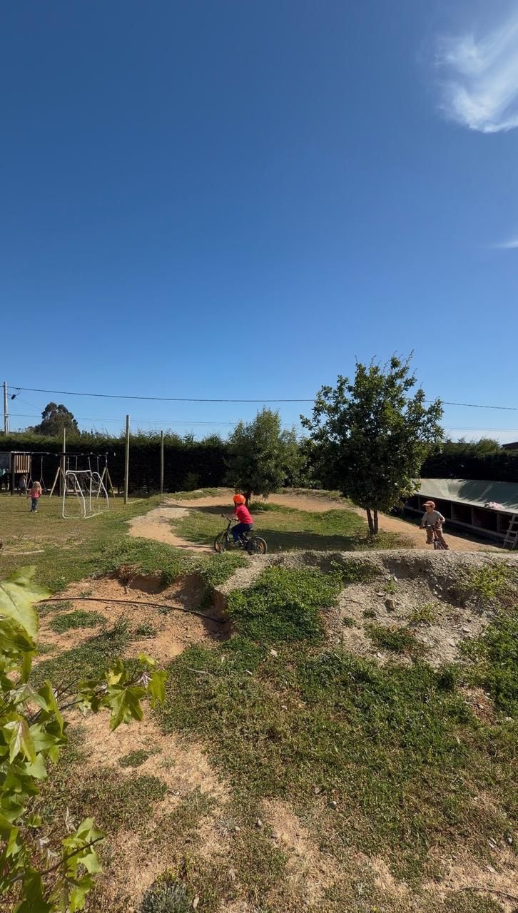 Personas practicando yoga en un parque, con los brazos extendidos. Césped verde, árboles al fondo y sol.