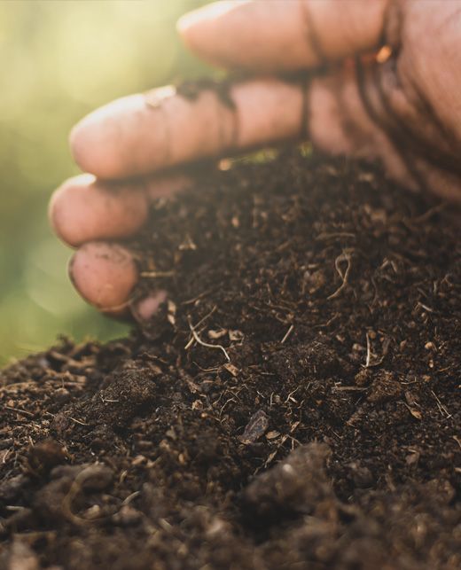 Mano sosteniendo y mostrando suelo oscuro y rico; al aire libre, luz solar.