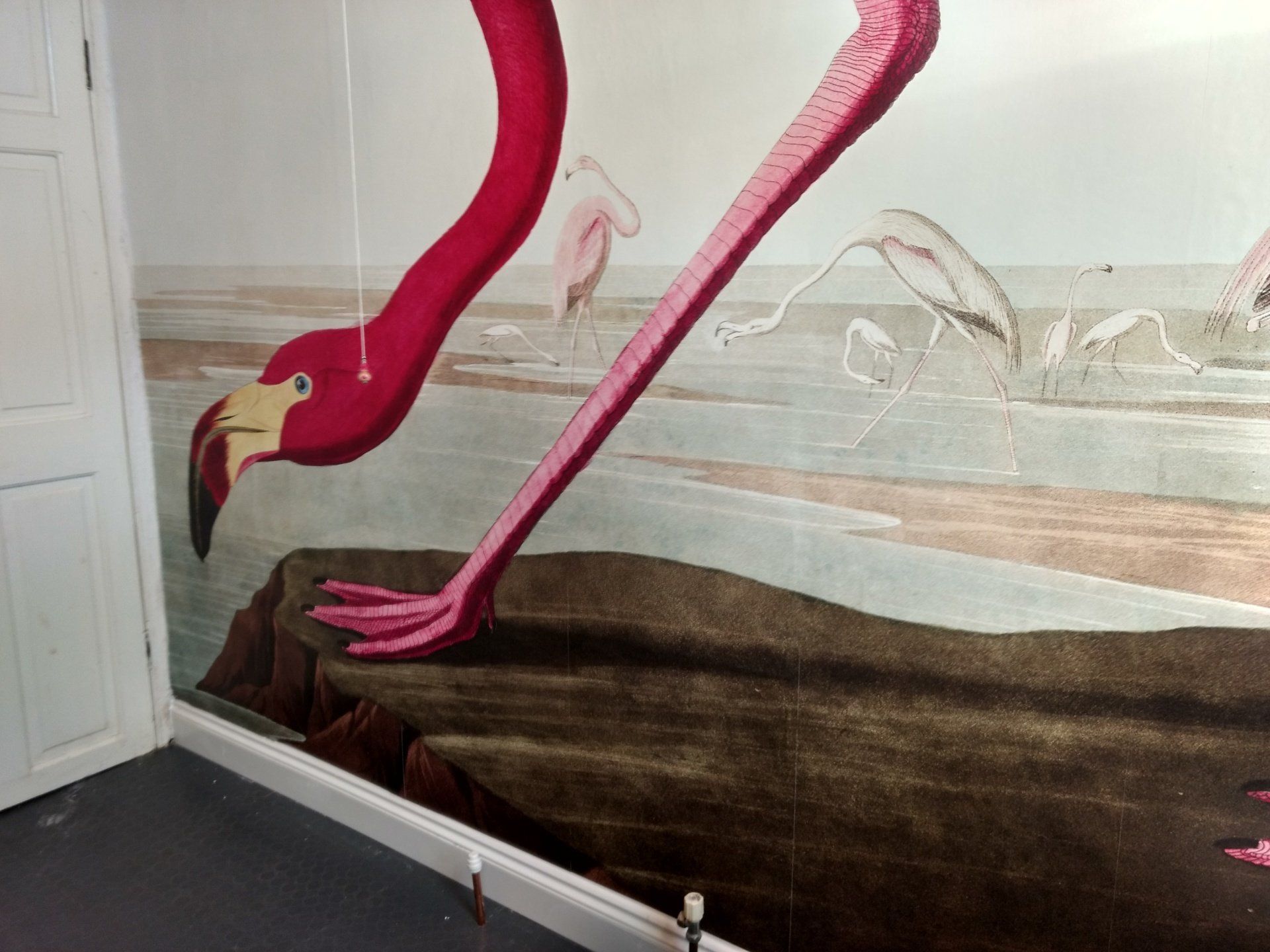 mural, wallpaper, mural art bristol, painter and decorator in Bristol, female painter and decorator, mural wallpaper, flamingo mural
