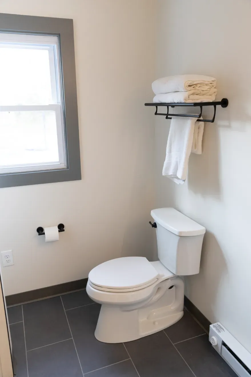 A bathroom with a toilet and a window