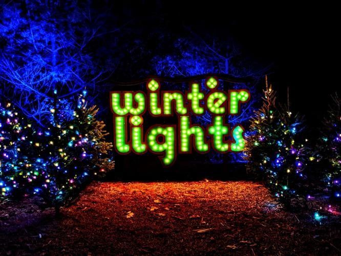 winter lights sign at 