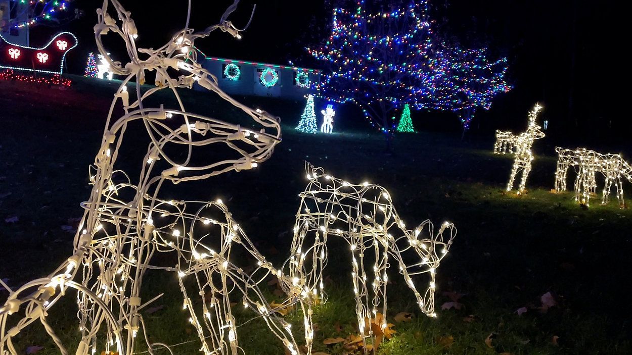 holiday lights in Great Barrington