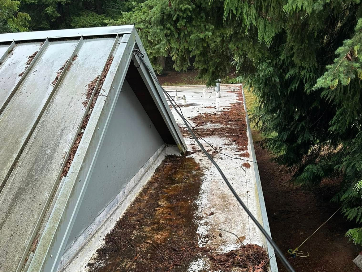 roof