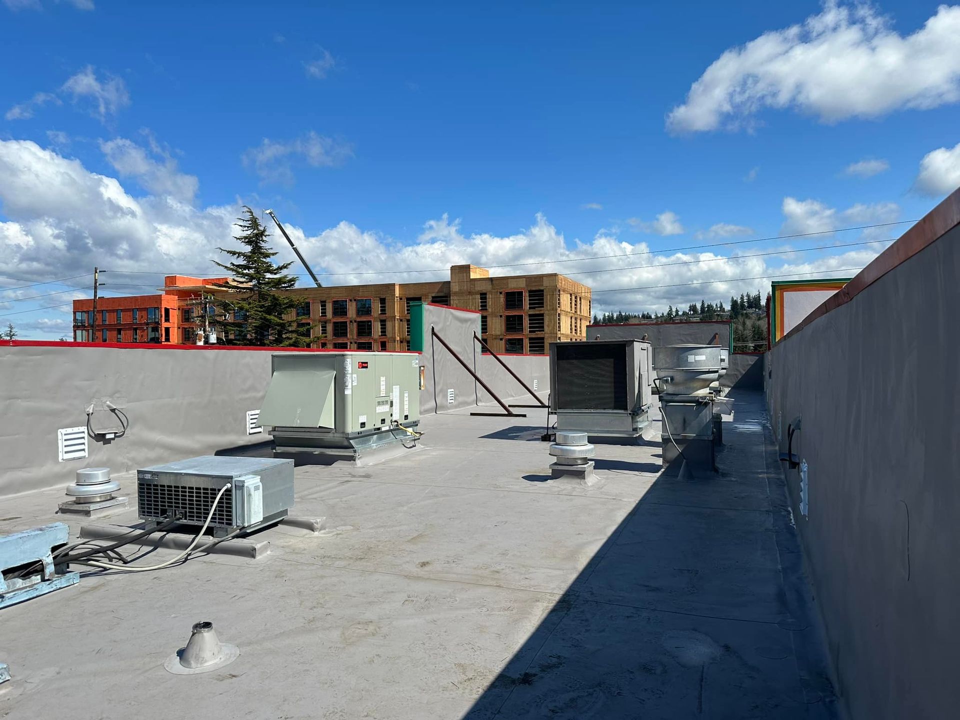 AFTER: El Agave's  new TPO- Flat Roof