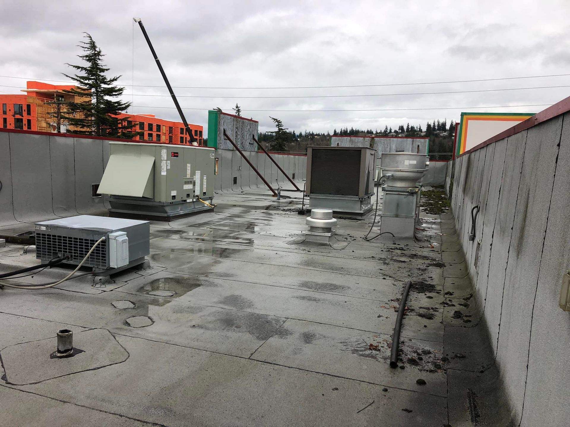 BEFORE:  El Agave roof replacement