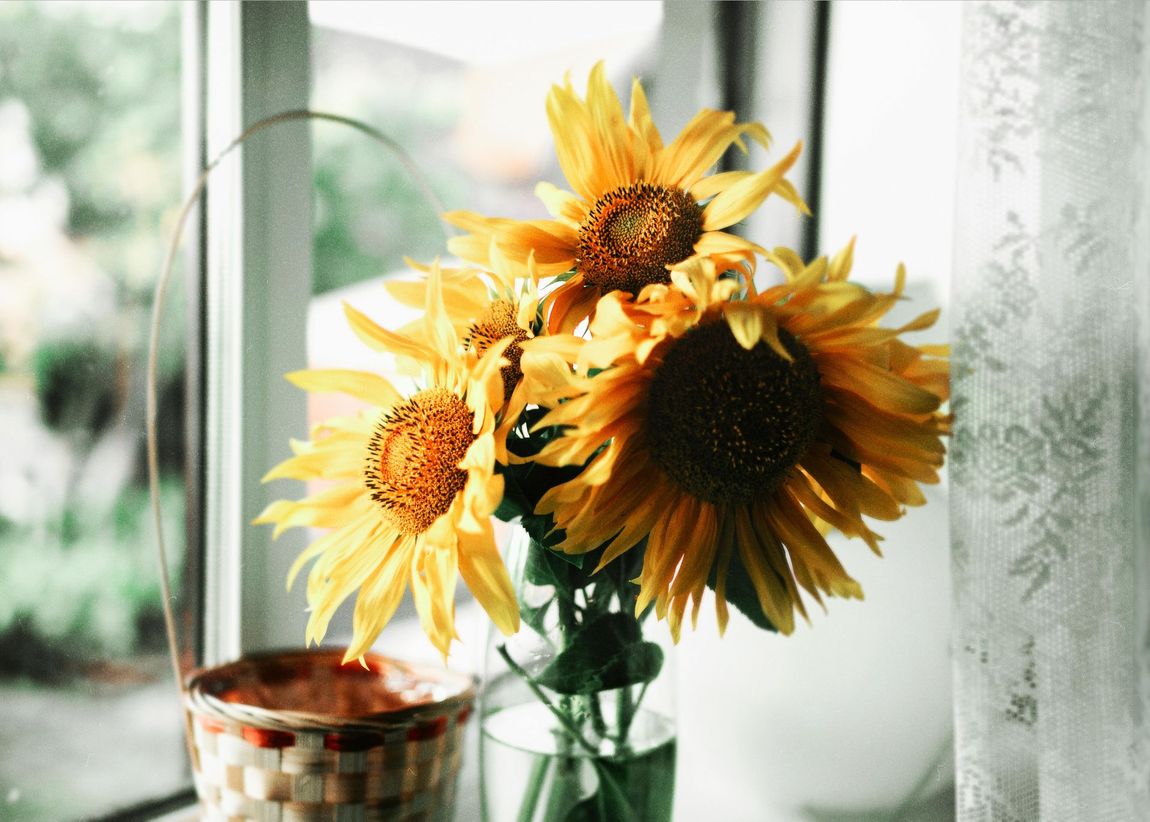 A vase filled with sunflowers is sitting on a window sill.