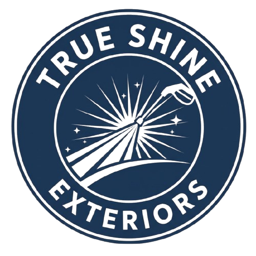 Logo for True Shine Exteriors: blue circle with white text and graphic of a pressure washer spraying water with starburst design.
