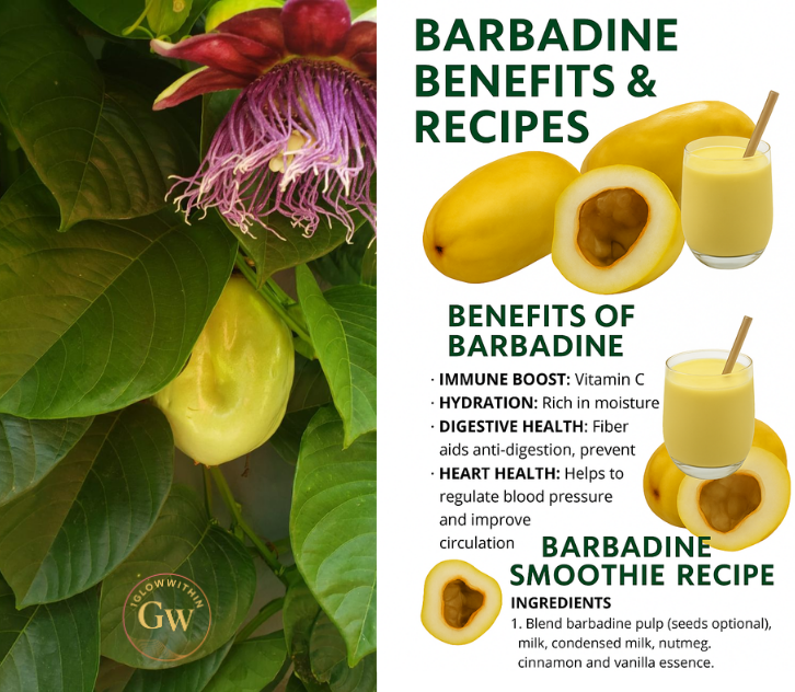 Barbadine fruit infographic: benefits & smoothie recipe. Includes fruit, flower, leaves, & smoothie in yellows and greens.