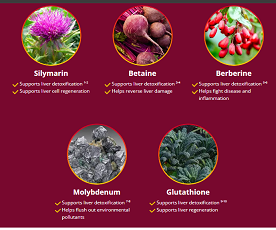 Supplements for liver health: milk thistle, beets, berries, mineral, kale. Each supports detoxification and regeneration.