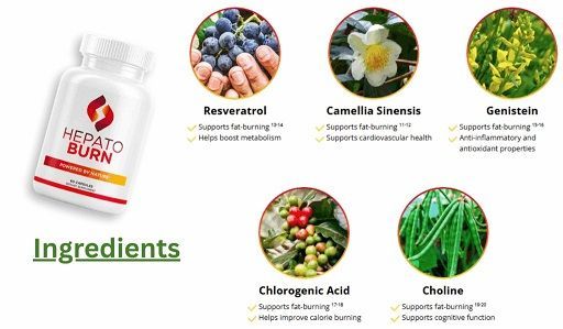 Hepato Burn supplement with ingredients: Resveratrol, Camellia Sinensis, Genistein, Chlorogenic Acid, and Choline.