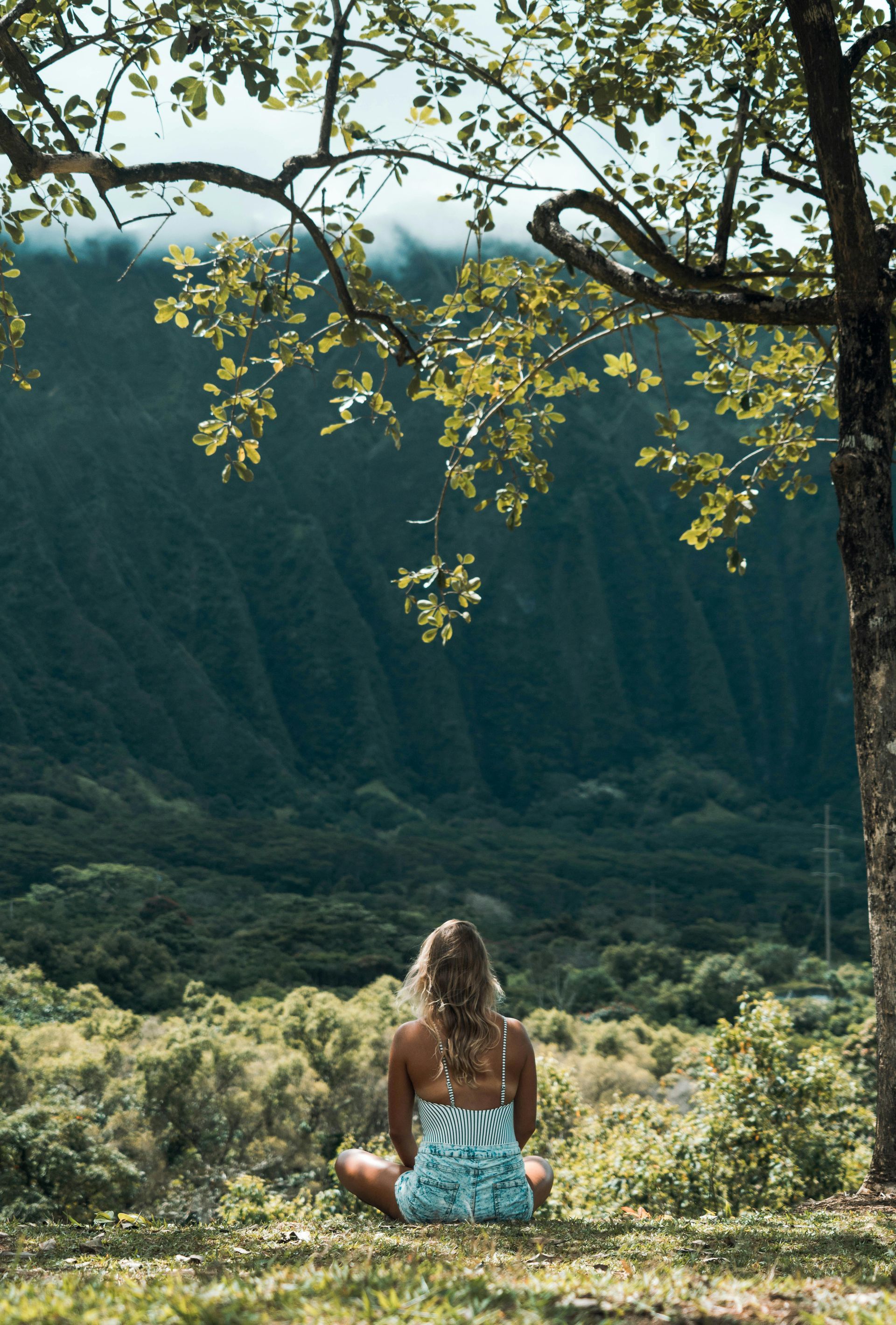 Woman sitting cross-legged, gazing at lush valley and mountains, framed by a tree.