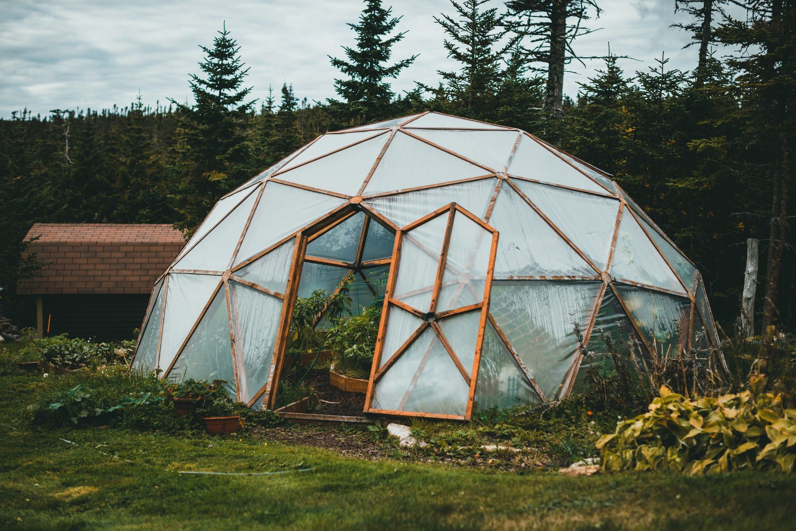 Geodesic dome greenhouse with wooden frame, surrounded by greenery, against a cloudy sky.