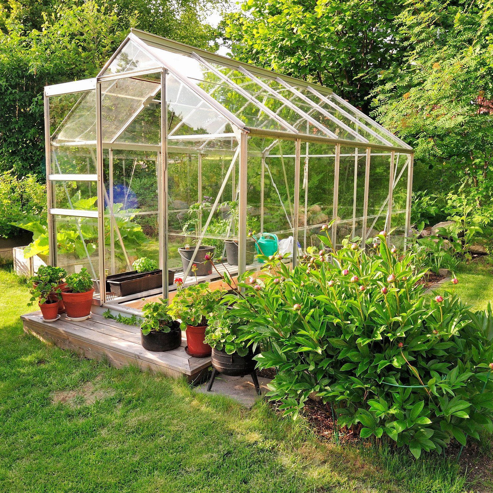 Greenhouse in a garden with plants and flowers.