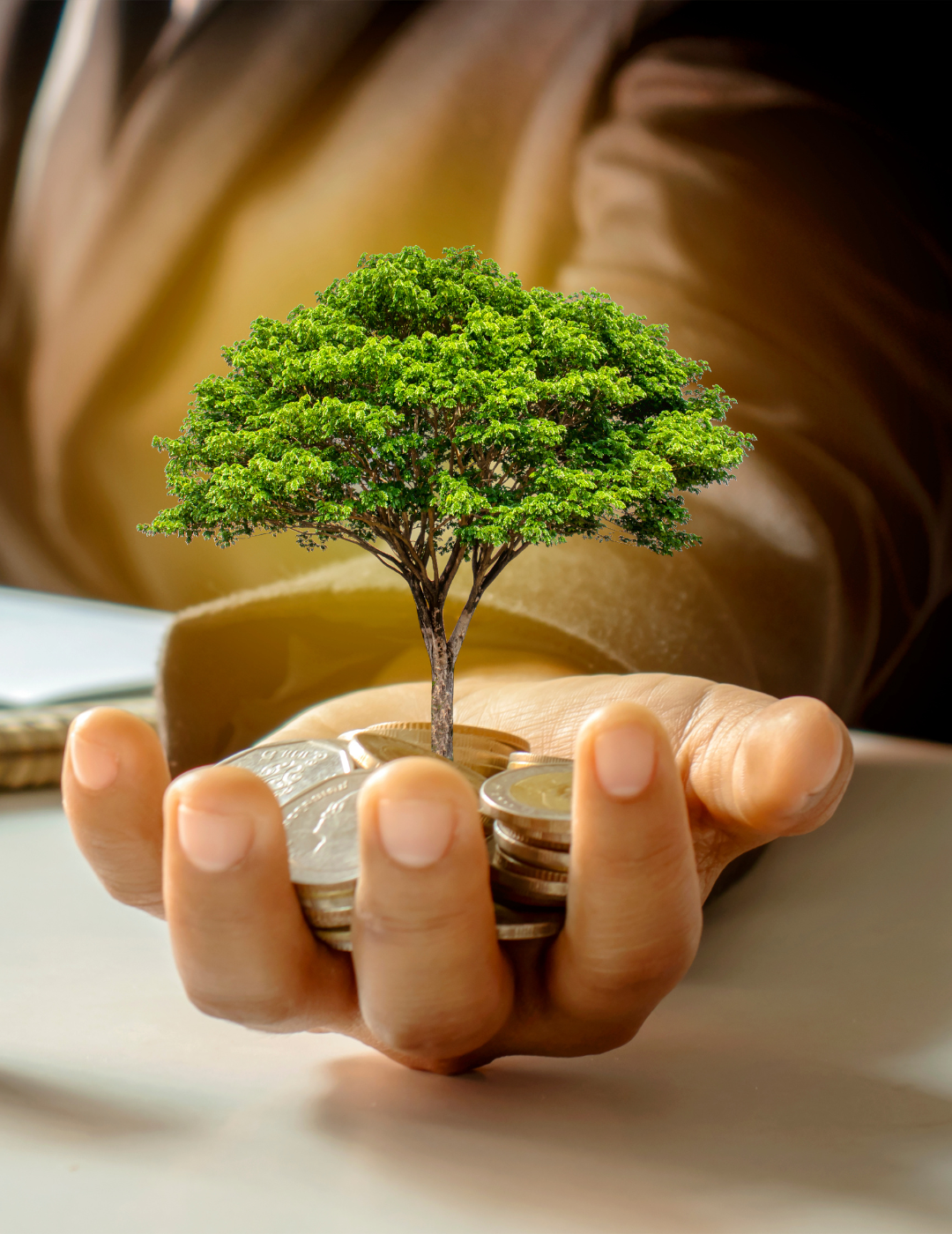 A person is holding a tree growing out of a pile of coins.
