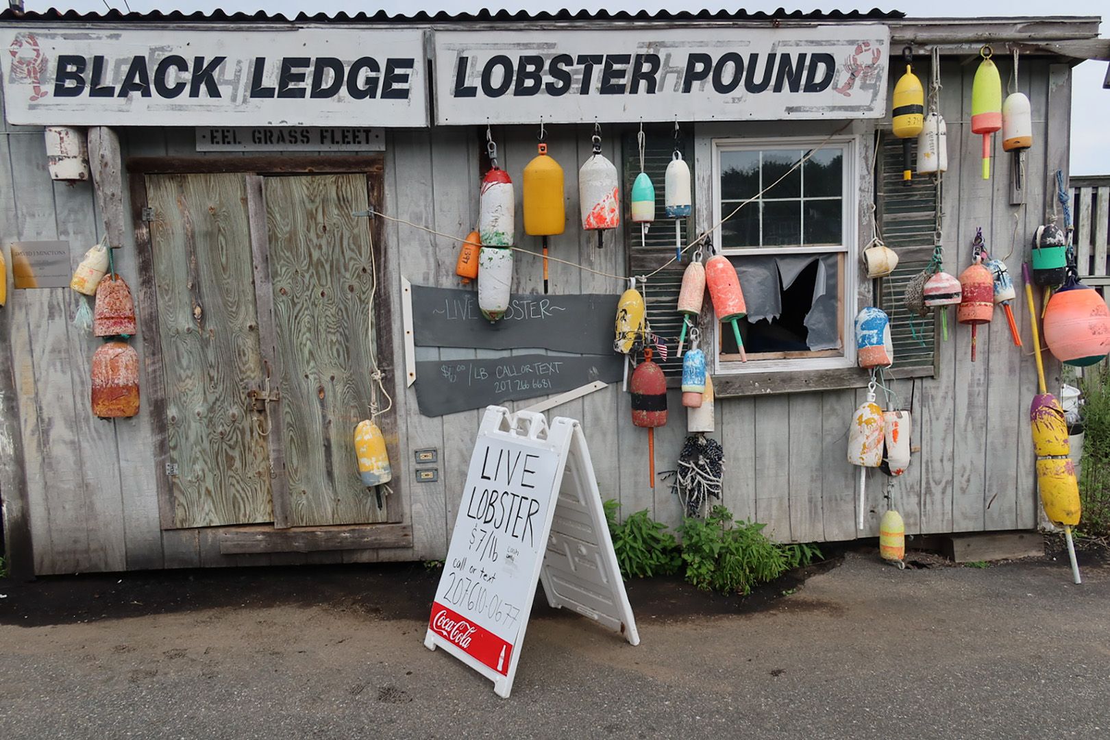 lobster, Maine, fish shack, black ledge